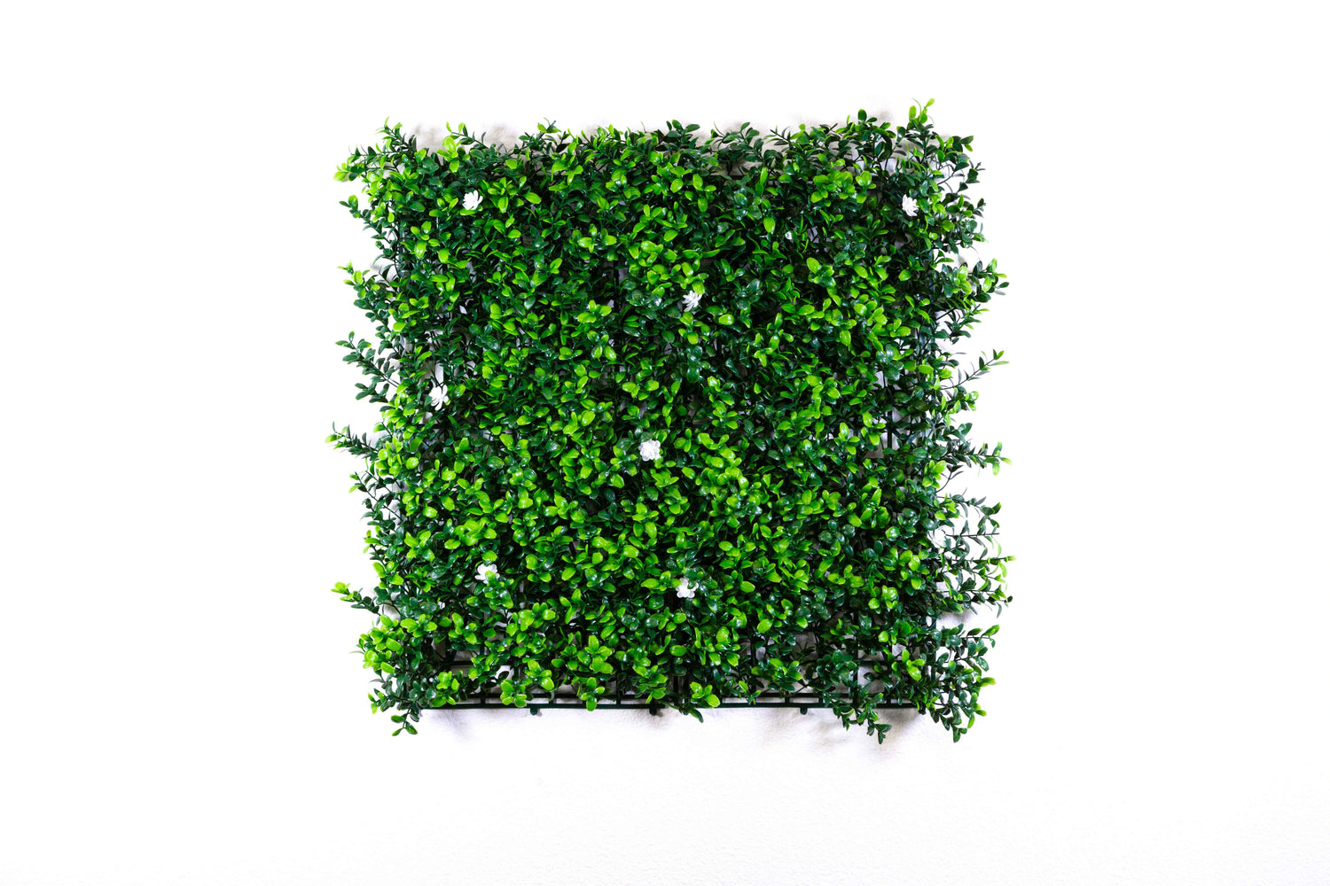 Gardenia Style Artificial Living Wall